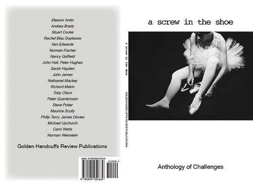 a screw in the shoe Anthology